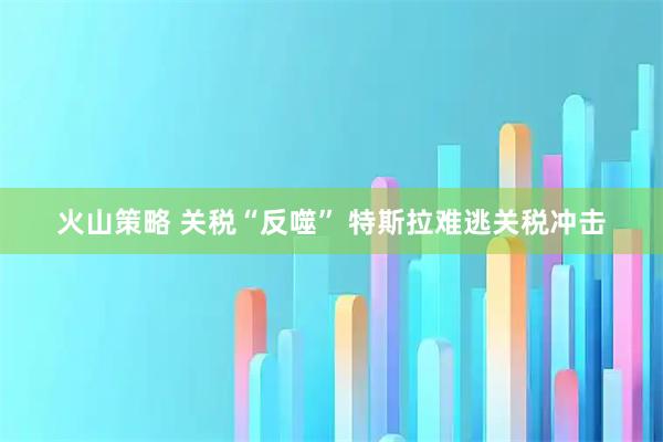 火山策略 关税“反噬” 特斯拉难逃关税冲击