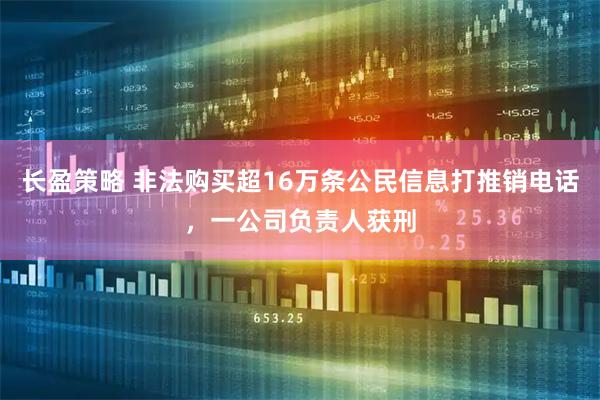 长盈策略 非法购买超16万条公民信息打推销电话，一公司负责人获刑