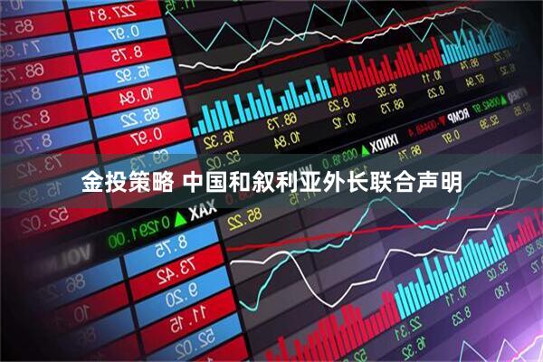 金投策略 中国和叙利亚外长联合声明