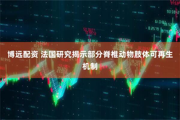 博远配资 法国研究揭示部分脊椎动物肢体可再生机制