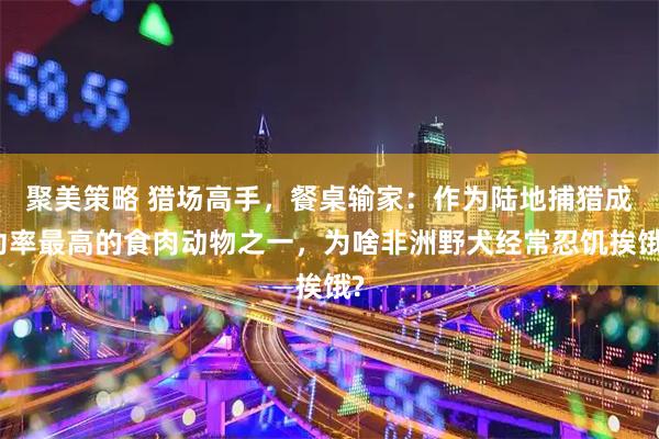 聚美策略 猎场高手，餐桌输家：作为陆地捕猎成功率最高的食肉动物之一，为啥非洲野犬经常忍饥挨饿?