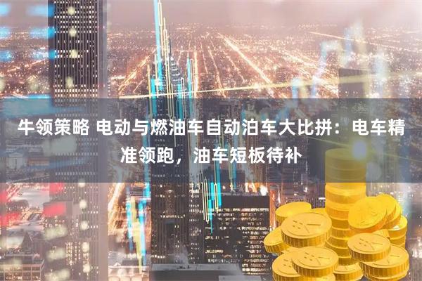 牛领策略 电动与燃油车自动泊车大比拼：电车精准领跑，油车短板待补