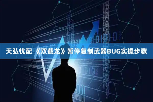 天弘忧配 《双截龙》暂停复制武器BUG实操步骤