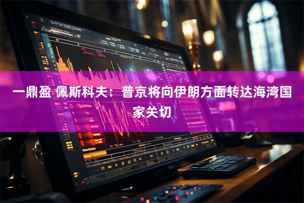 一鼎盈 佩斯科夫：普京将向伊朗方面转达海湾国家关切